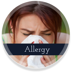 homeopathic treatment for menopause